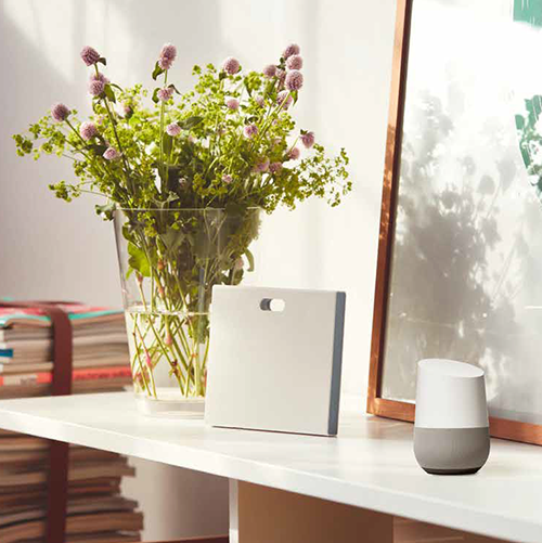 Google Home e Coviva